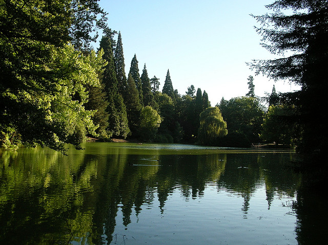 Laurelhurst Park pond