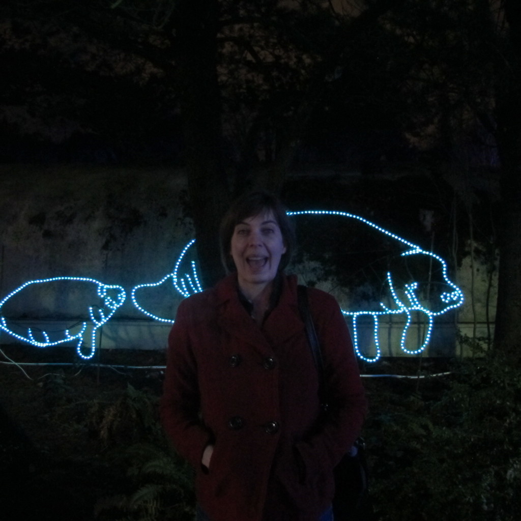 Manatee at ZooLights